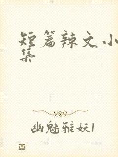 短篇辣文小说合集