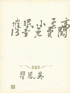 催眠小柔高达第13章免费阅读