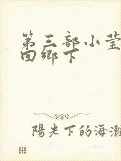 第三部小莹乱翁回乡下