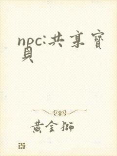 npc:共享宝贝