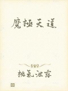 魔极天道封面