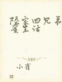 陆家四兄弟的甜蜜生活