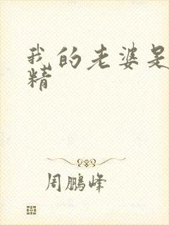 我的老婆是狐狸精