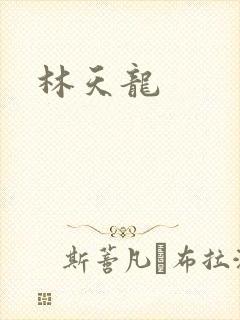 林天龙