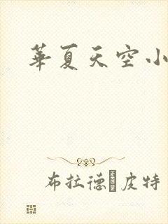 华夏天空小说网