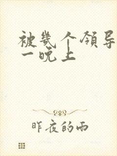 被几个领导玩弄一晚上