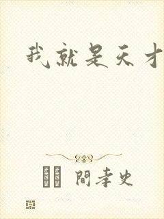 我就是天才封面