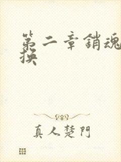 第二章销魂的交换