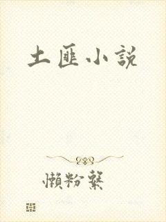 土匪小说