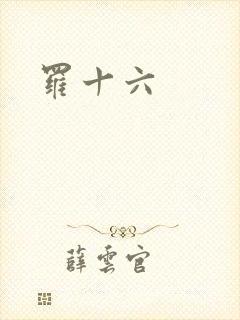 罗十六