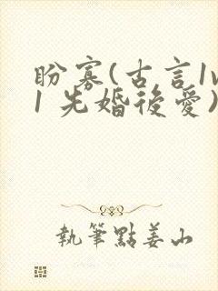 盼寡(古言1v1 先婚后爱)荔枝好多封面