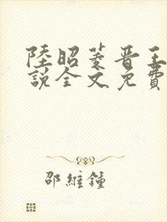 陆昭菱晋王的小说全文免费阅读