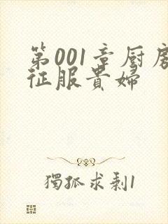 第001章厨房征服贵妇