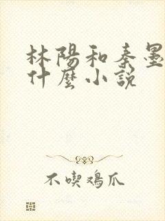 林阳和秦墨浓是什么小说封面