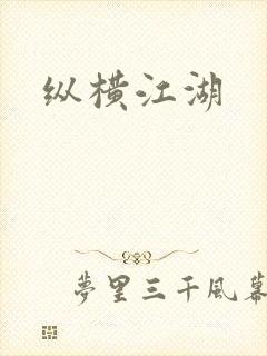 纵横江湖封面