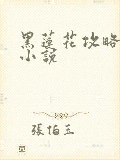 黑莲花攻略手册小说