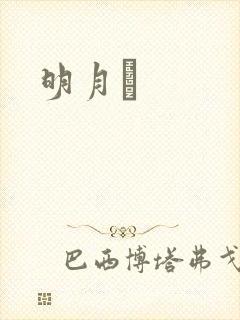 明月珰封面