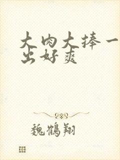 大肉大捧一进一出好爽