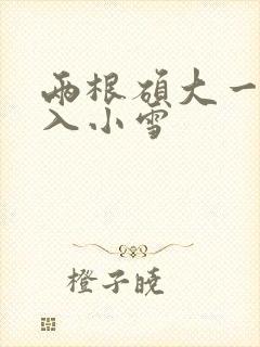 两根硕大一起挤入小雪