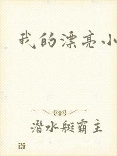 我的漂亮小后妈