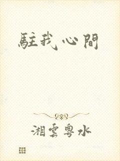 驻我心间