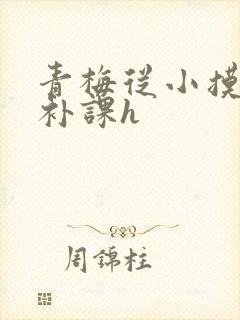 青梅从小摸到大补课h
