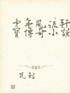 少年风流轩辕大宝传奇小说