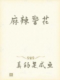 麻辣警花