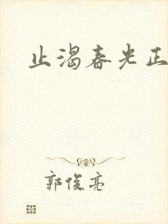 止渴春光正好封面