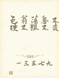 色翁荡息又大又硬又粗又爽小莹封面