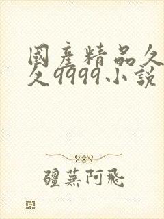 国产精品久久久久9999小说