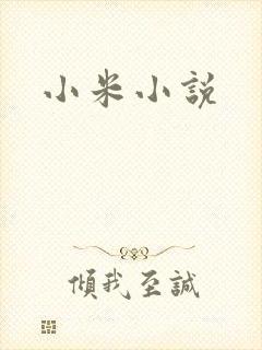 小米小说