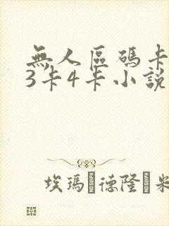 无人区码卡二卡3卡4卡小说
