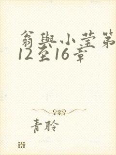 翁与小莹第十部12至16章