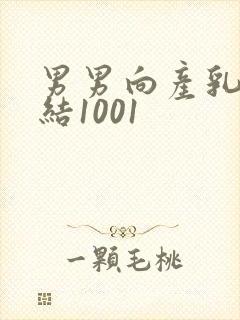 男男向产乳文小结1001封面