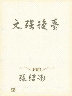 文强后台