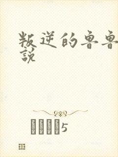 叛逆的鲁鲁修小说