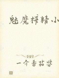 魅魔榨精小说封面