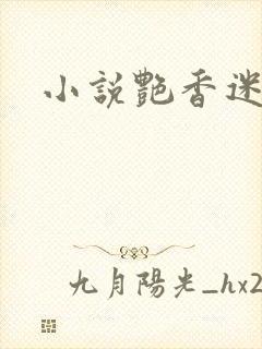 小说艳香迷醉封面