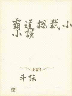 霸道总裁小娇妻小说