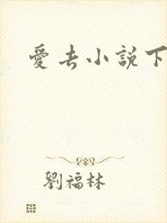 爱去小说下载网