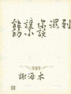 能让你湿到不行的小说