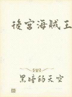 后宫海贼王