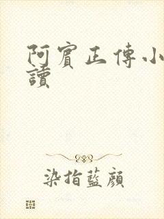 阿宾正传小说在读