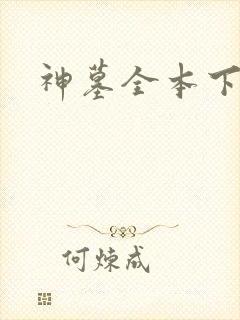 神墓全本下载封面