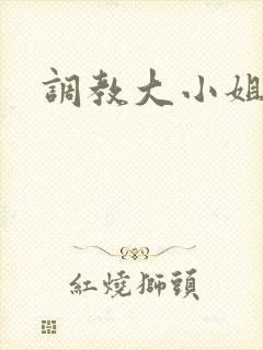 调教大小姐
