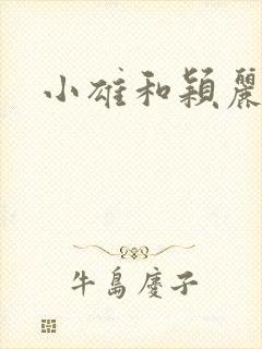 小雄和颖丽封面