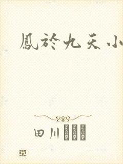 凤于九天小说