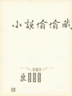 小说偷偷藏不住