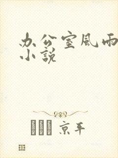 办公室风雨完整小说